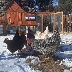 Meet your Posher, Reynee